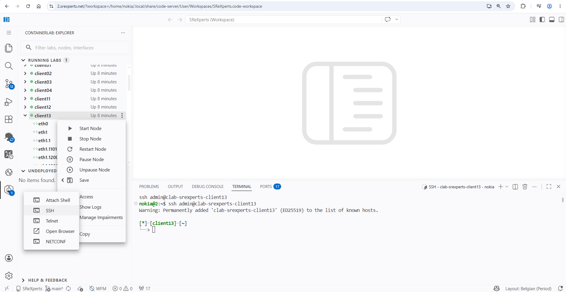 Fig. 3 - Accessing containerlab nodes